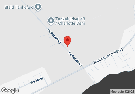 Tankefuldvej 30 Svendborg